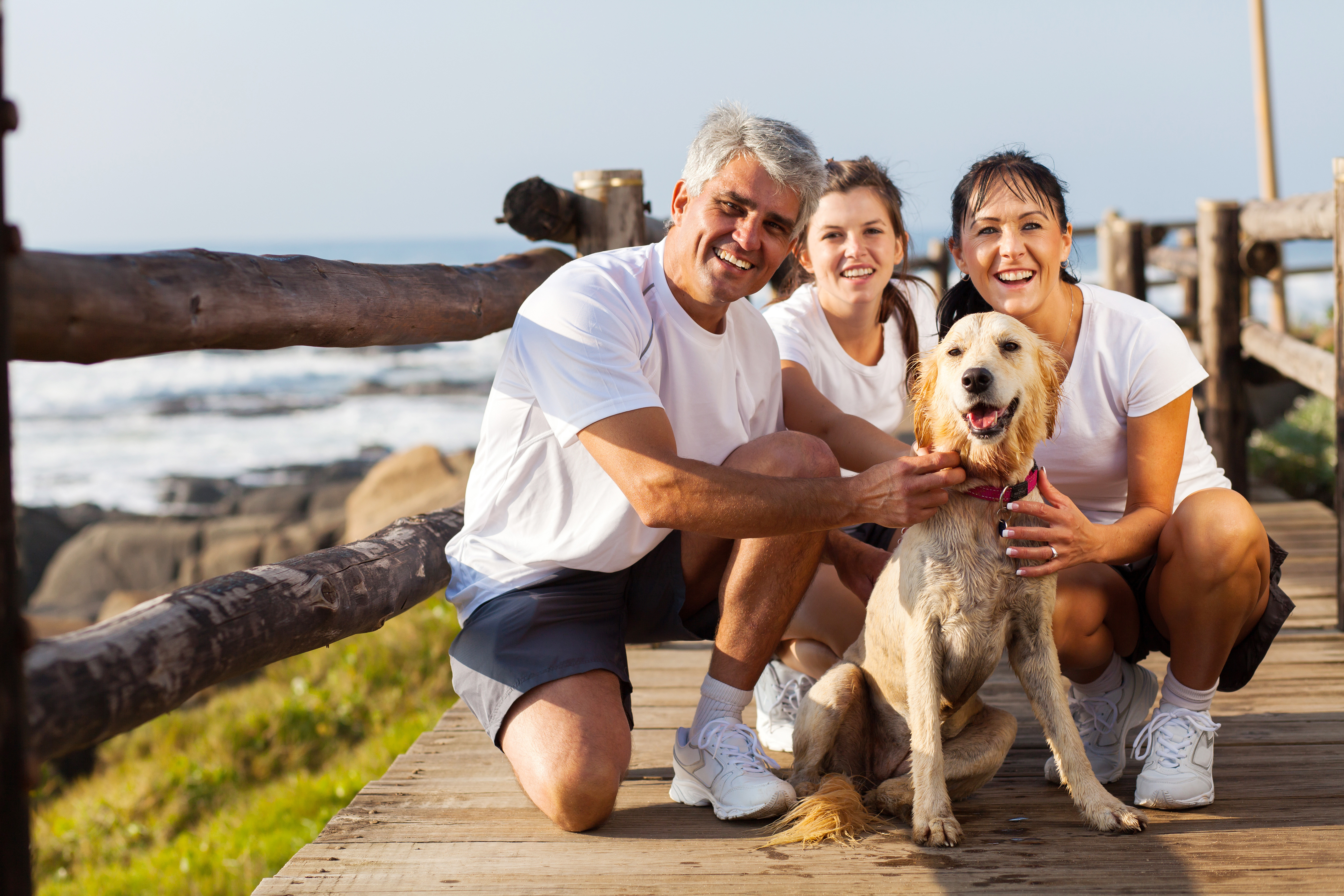 pet dog -health benefits for adults