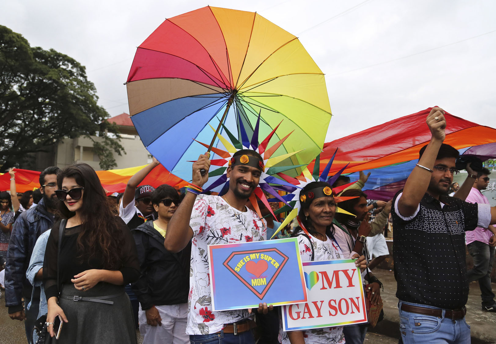 why was it necessary to revise section 377